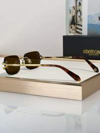 Picture of Roberto Cavalli Sunglasses _SKUfw79280010fw